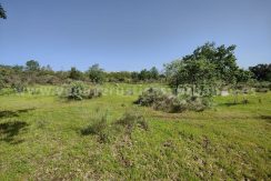 08912a2f-f2ce-4e6d-910c-e8b2f9bbeff6_result