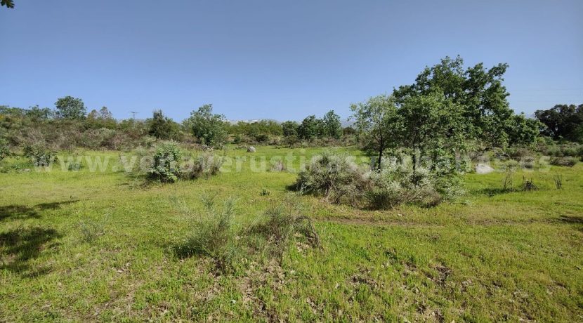 08912a2f-f2ce-4e6d-910c-e8b2f9bbeff6_result