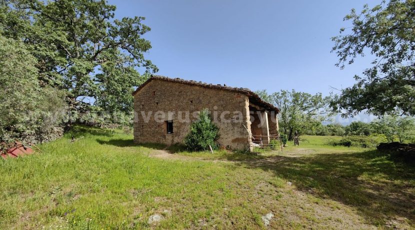 11400e60-7a1f-4674-8ba8-119de82ace93_result