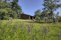 12055465-6039-4bd2-a76d-d17a8b62213a_result