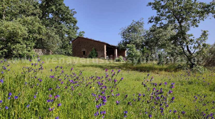 12055465-6039-4bd2-a76d-d17a8b62213a_result