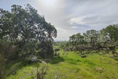 14ec91b9-8584-4339-a52b-817d639f7777_result