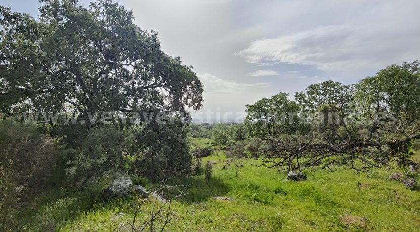 14ec91b9-8584-4339-a52b-817d639f7777_result