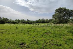 1a00e9f9-c807-4257-ba43-73f5bdc2c024_result