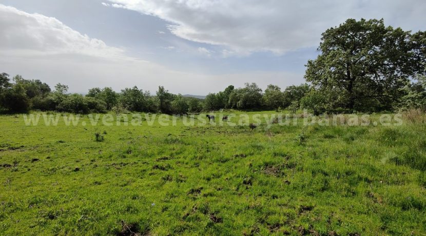 1a00e9f9-c807-4257-ba43-73f5bdc2c024_result