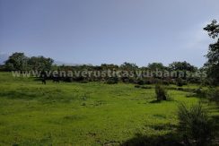 25fccd46-4c6a-4fb4-83ab-d228264543db_result