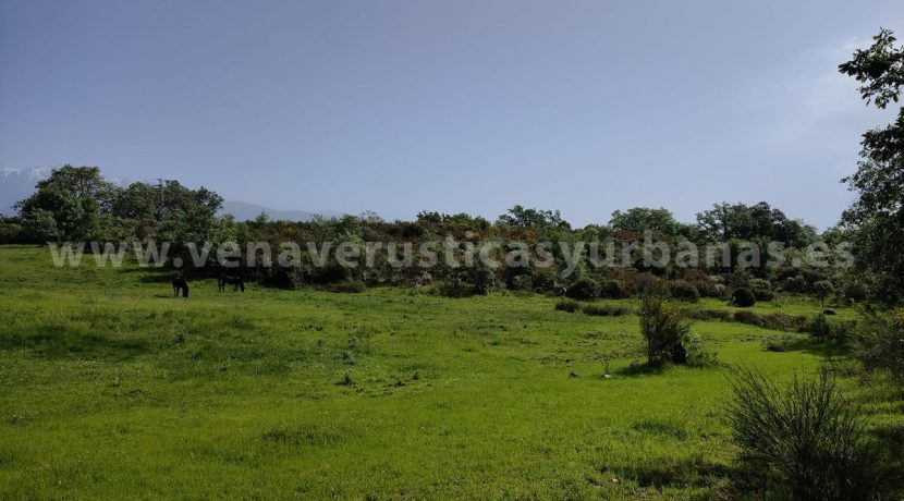 25fccd46-4c6a-4fb4-83ab-d228264543db_result