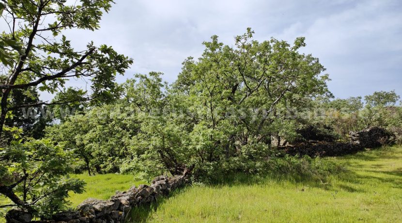 38be335f-a6b6-485f-9788-17aa71249798_result