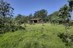 3f71c0ec-b04d-4da9-9ade-5bd227b64284_result