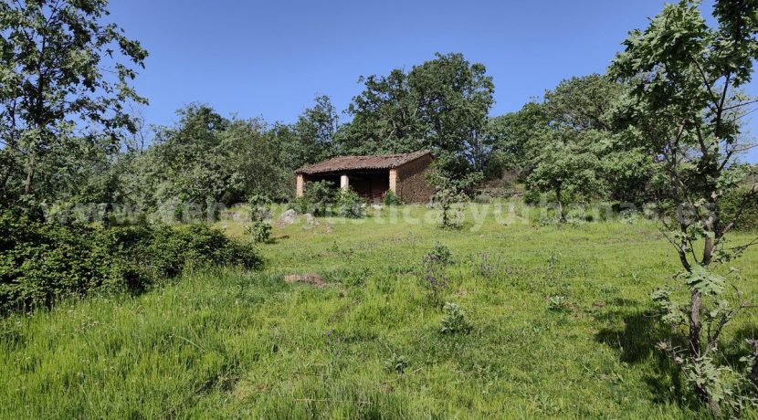 3f71c0ec-b04d-4da9-9ade-5bd227b64284_result