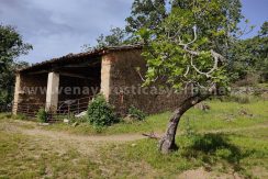 7f7ddce8-c6cf-4e5f-8562-1e99ed9a2f94_result