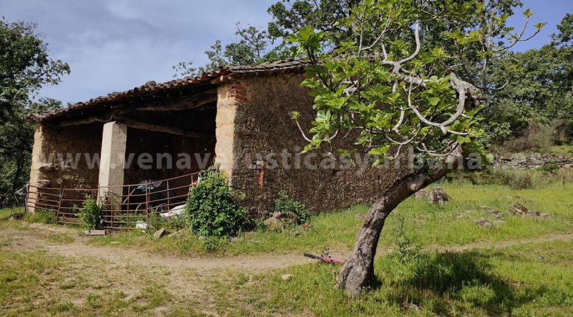 7f7ddce8-c6cf-4e5f-8562-1e99ed9a2f94_result