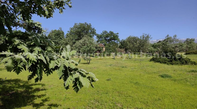 8c533d51-ff91-42dc-9eab-bd023df5c933 (1)_result