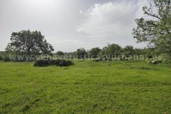 8f8efbeb-abd1-49f8-97ca-b2dfeed870a6_result