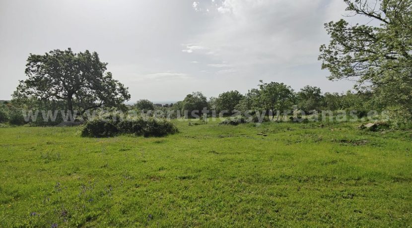 8f8efbeb-abd1-49f8-97ca-b2dfeed870a6_result