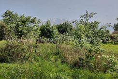 940cb678-7658-4e1b-a82f-9e19eb8cd074_result