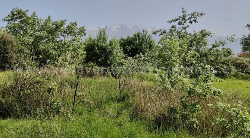 940cb678-7658-4e1b-a82f-9e19eb8cd074_result