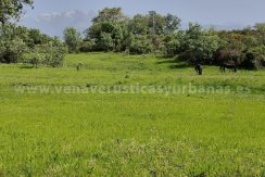 94a45e06-5f71-4f54-8984-1ccebe480fa2_result