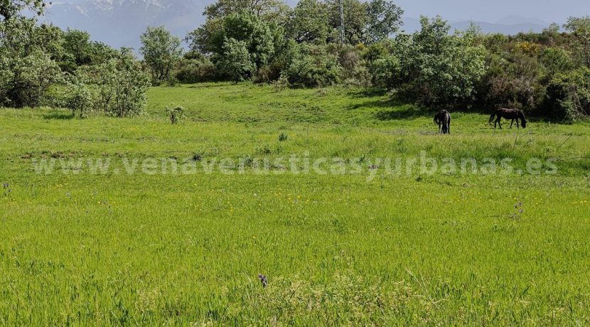 94a45e06-5f71-4f54-8984-1ccebe480fa2_result