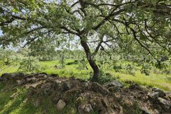 b7010e90-9473-44fd-8f08-597c74735f13_result