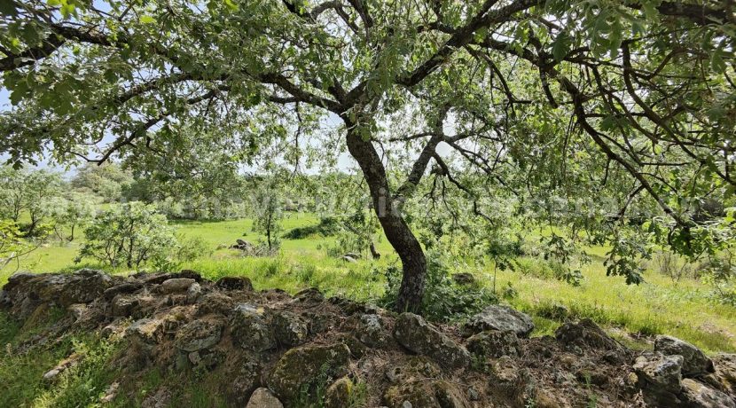 b7010e90-9473-44fd-8f08-597c74735f13_result