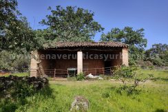 d01ee0d9-2bc8-4438-8d99-bf6f5e4382e3_result