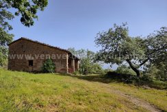 d56c3f0f-2909-4ff2-b2f6-4dd09383cc96_result