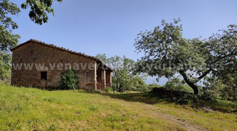 d56c3f0f-2909-4ff2-b2f6-4dd09383cc96_result