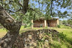 d67e3b21-dc9a-40aa-a6e6-4273ecc68698_result