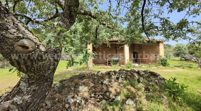 d67e3b21-dc9a-40aa-a6e6-4273ecc68698_result