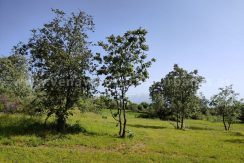 e3868fd9-5eeb-48eb-9c74-f554b22ee549_result