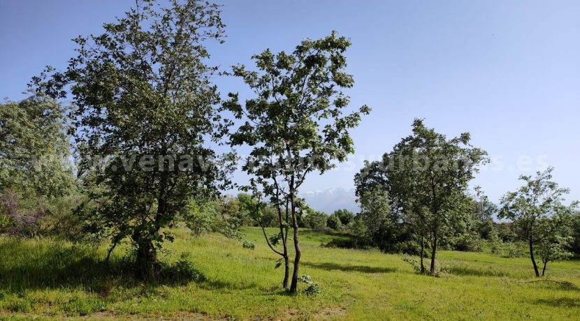 e3868fd9-5eeb-48eb-9c74-f554b22ee549_result