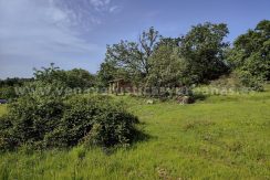 f3099088-317a-4ddb-8ccb-a6087349a724_result