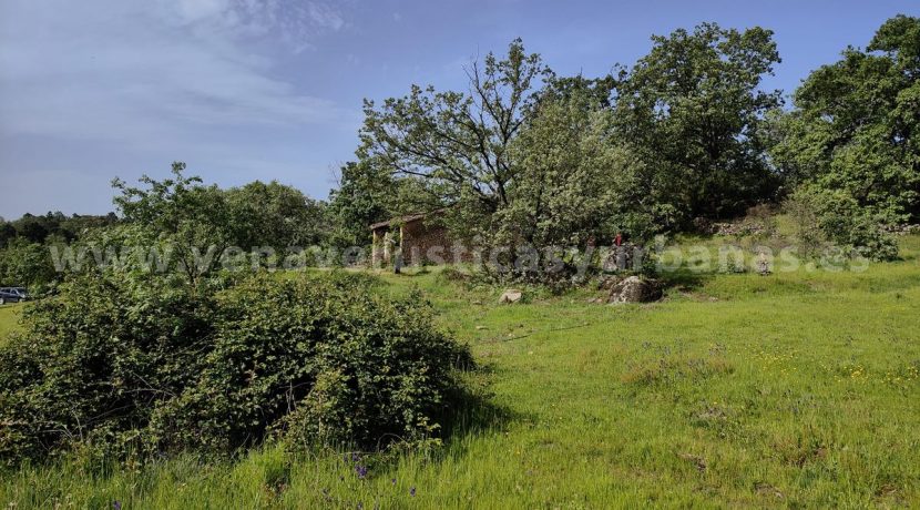 f3099088-317a-4ddb-8ccb-a6087349a724_result