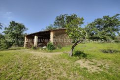 fe8dc20f-ad5e-4e2e-875e-88ec741ef262_result