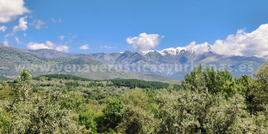 COLORES DE GREDOS