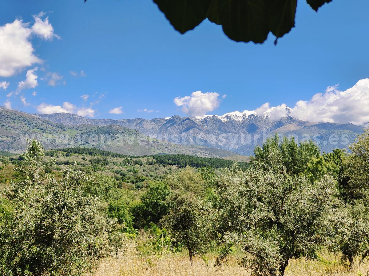 COLORES DE GREDOS