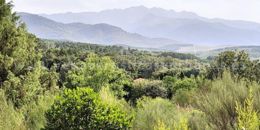 ANTIGUAS MAJADAS