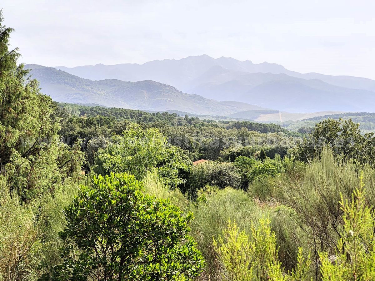 ANTIGUAS MAJADAS