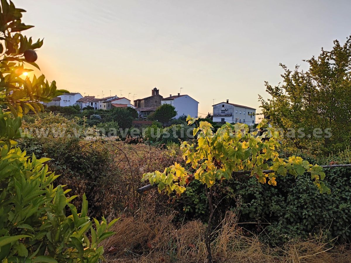 MI HUERTA EN VIANDAR