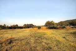 8b21ad40-d6a0-43d7-b2ee-f701607bec02_result