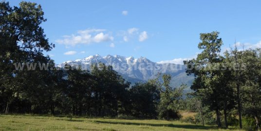 DEHESA DEL ALMANZOR