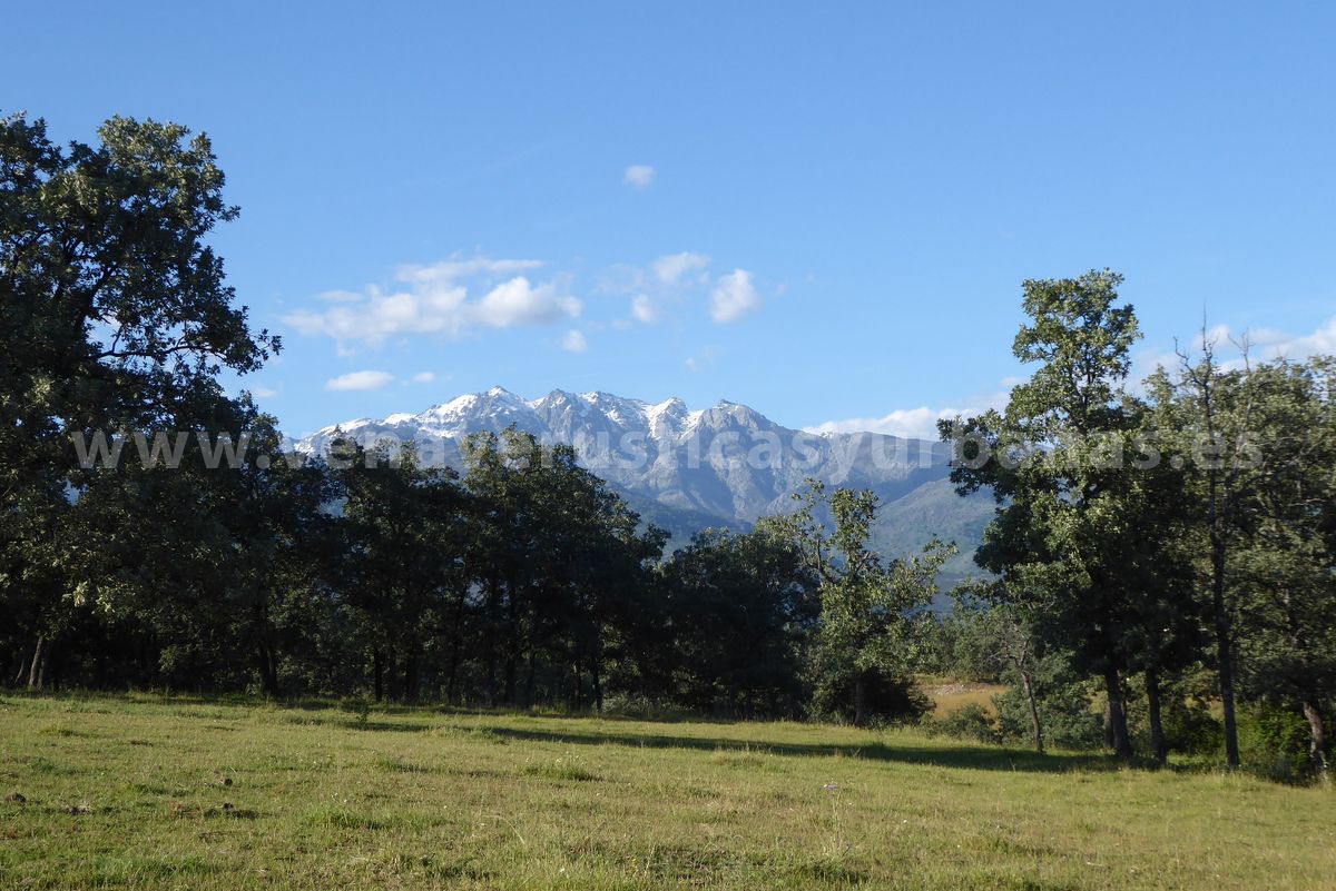 DEHESA DEL ALMANZOR