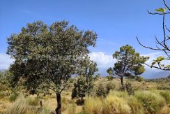 WhatsApp Image 2026-08-21 at 09.21.26 (2)_result